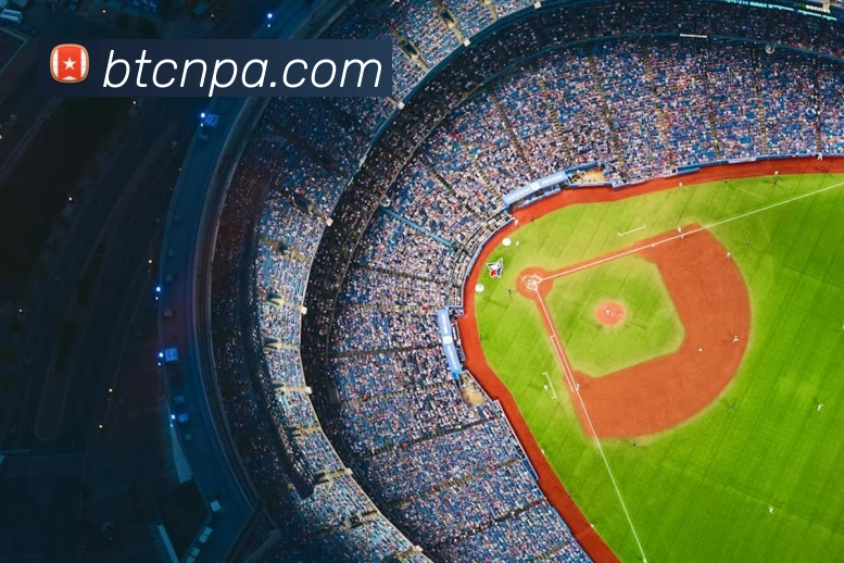 pa真人视讯APP 封面图